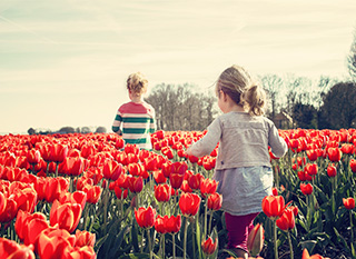 Quel Bouquet De Fleurs Bio Et Responsable Choisir Ecoconso