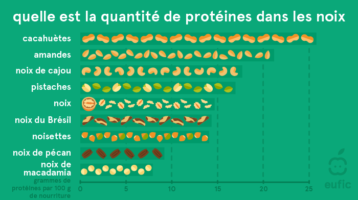 Quantité de protéines dans les noix